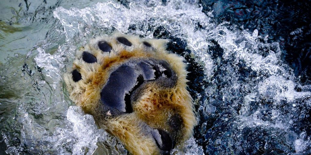 Nasdaq Composite exits bear market — again. What history says happens next.