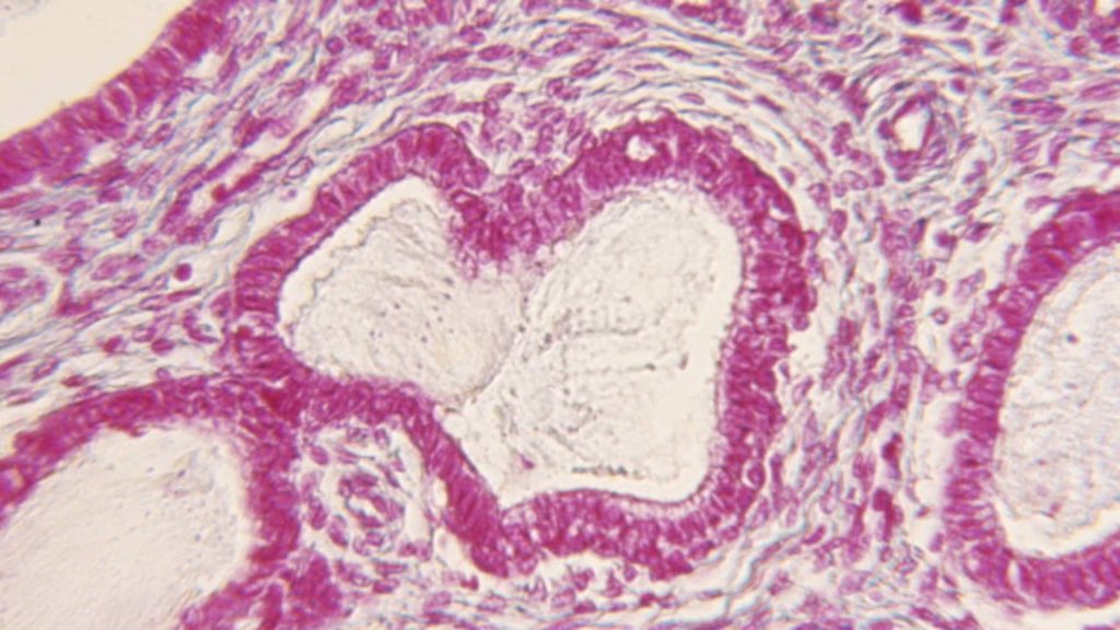 A subsection of tech is set to be worth $1 trillion. But taboos are holding it back