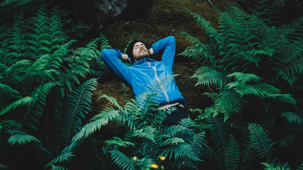 I’m a psychology expert in Finland, the No. 1 happiest country in the world—here’s the real meaning of life in 5 words