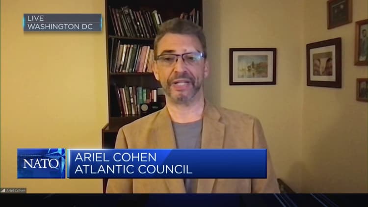 Finland's and Sweden's desire to join NATO is Putin's doing, analyst says