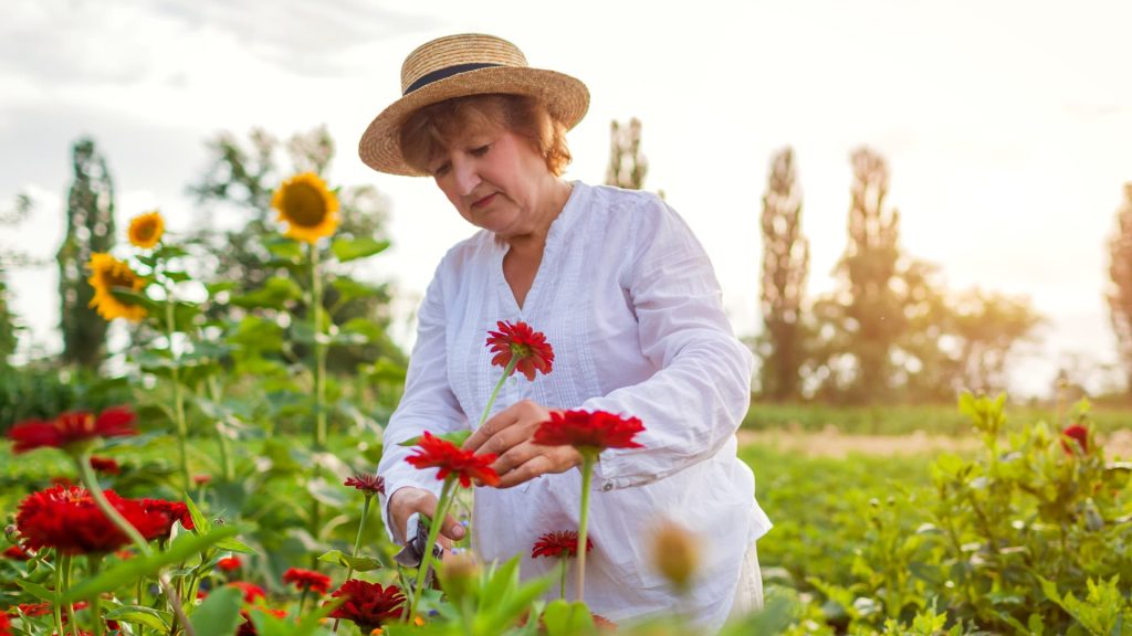 Just 10% plan to wait until age 70 to claim Social Security, survey finds. Why experts say it’s often best to delay