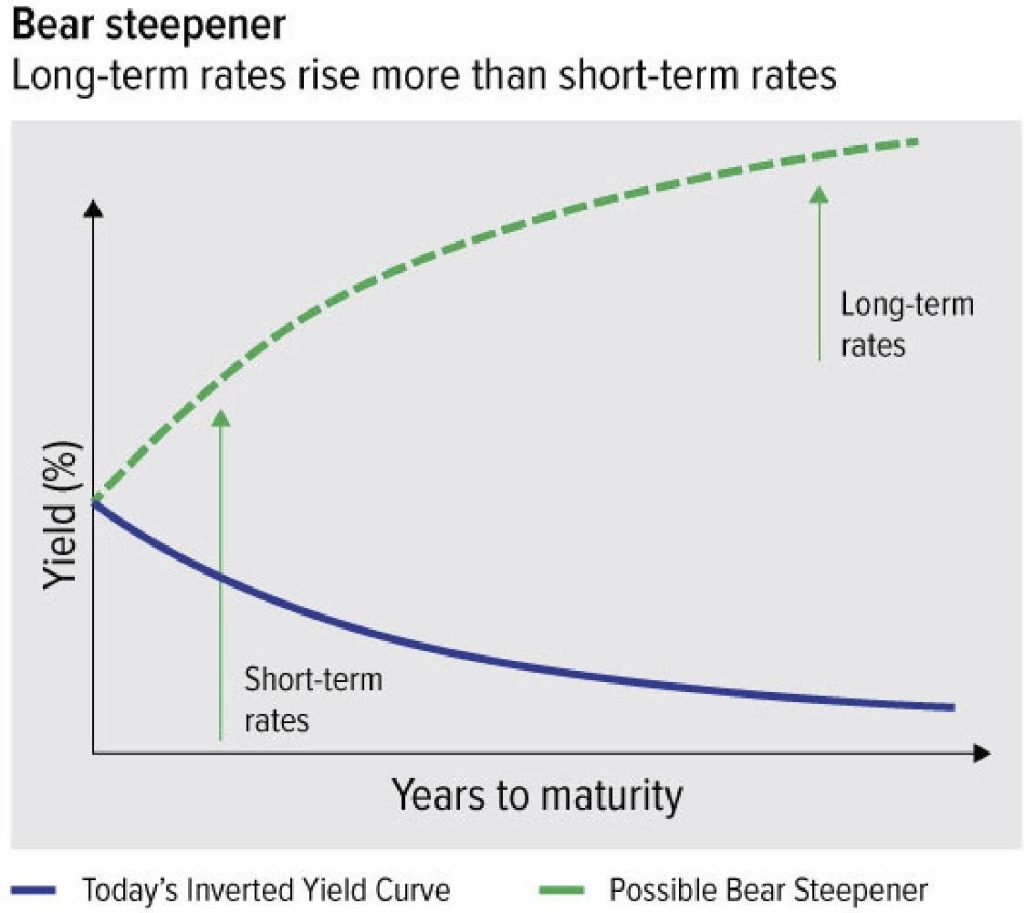Another Rare Macroeconomic Bird Sighted? The Dreaded Bear Steepener