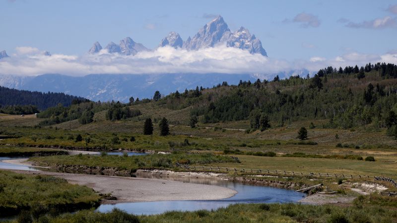 How should central banks coordinate when their economies are headed in opposite directions?