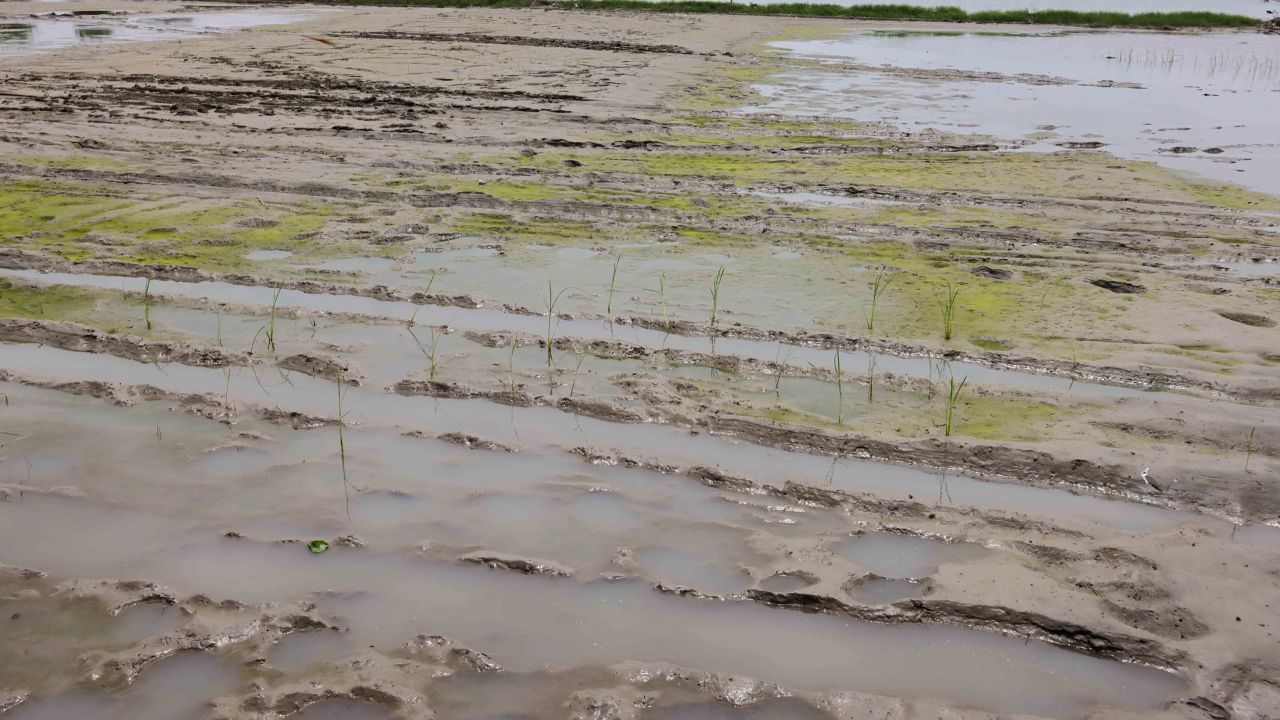 The heavy floods have affected the country's farmers.