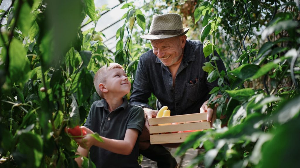 The most ‘underrated’ nutrient 90% of Americans are lacking—it ‘boosts brain health,’ says dietitian