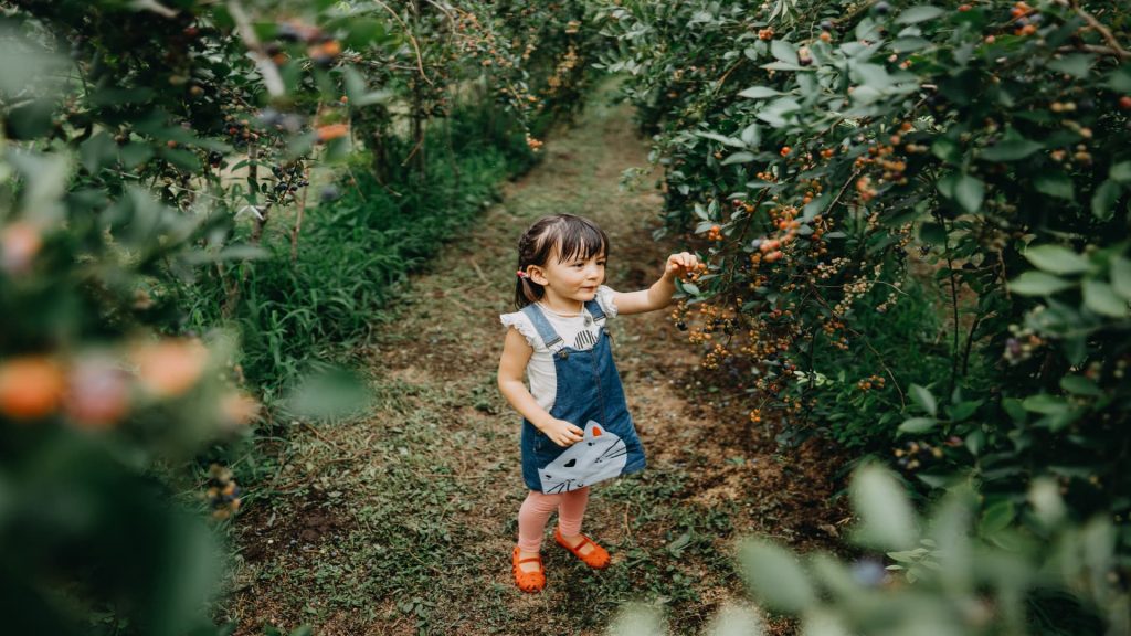 I’m a mom in Japan, home to the world’s healthiest kids—4 things Japanese parents do differently to raise successful eaters