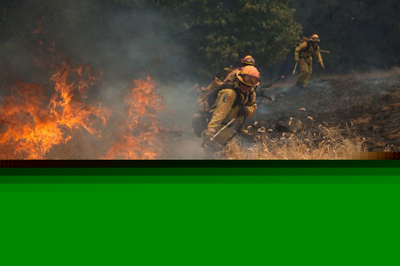 Alphabet’s growth in quantum computing and AI augments ad revenue