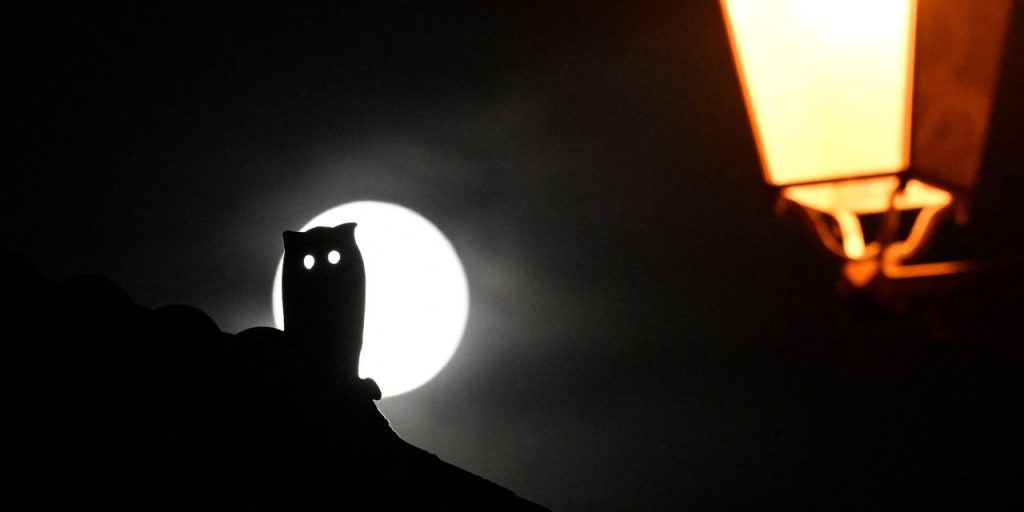 ‘Zombie’ companies already make up 11.5% of U.S. listed stocks