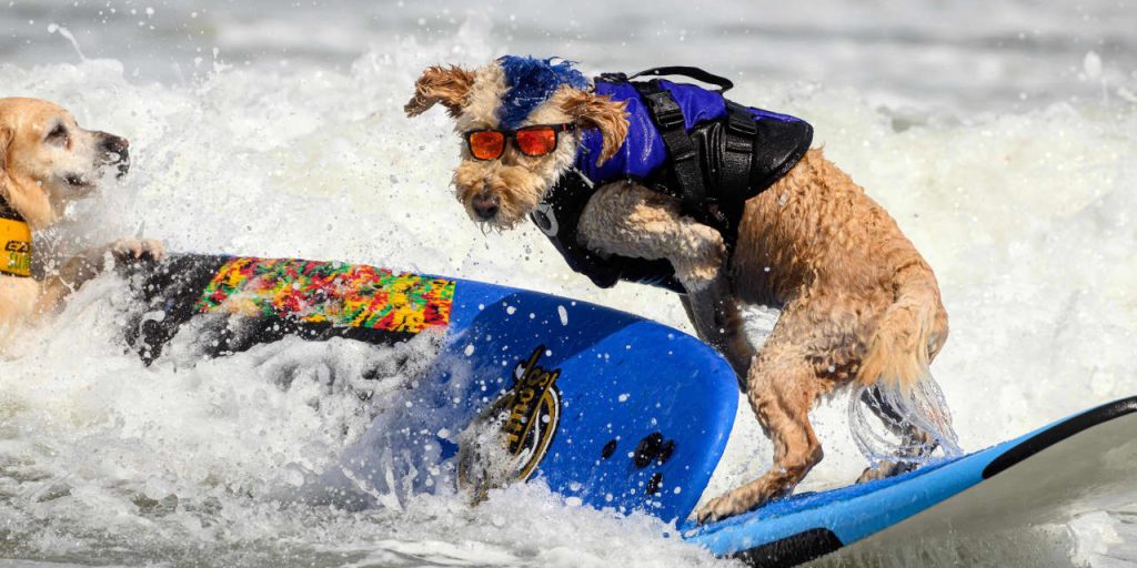 These mutual fund and ETF investing tips help your portfolio ride the market’s wave