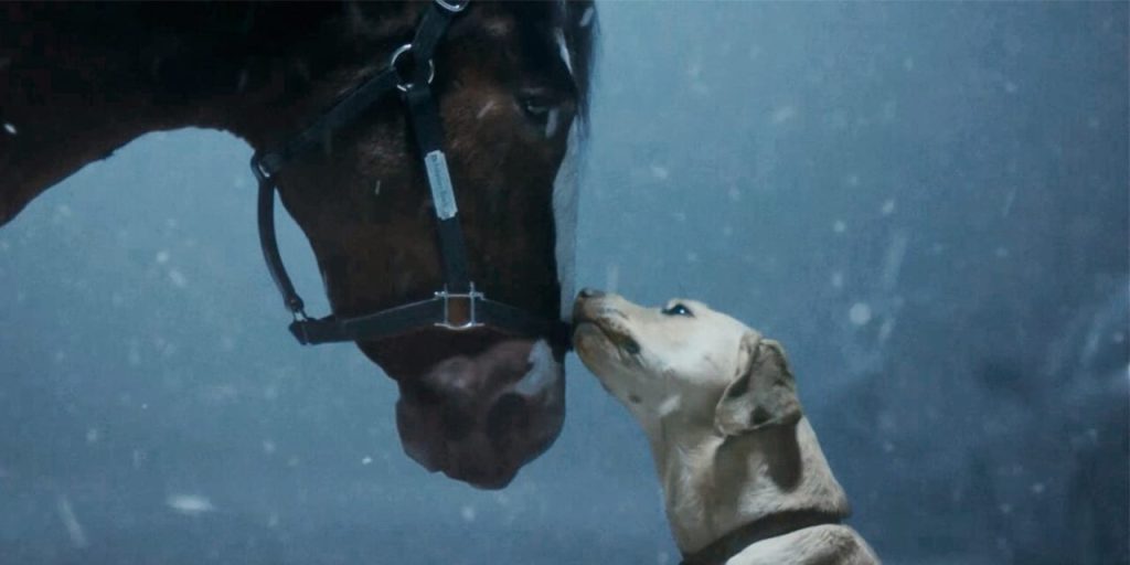 Budweiser’s ‘old-school’ Super Bowl ad features Clydesdale horses in attempt to buck last year’s controversy