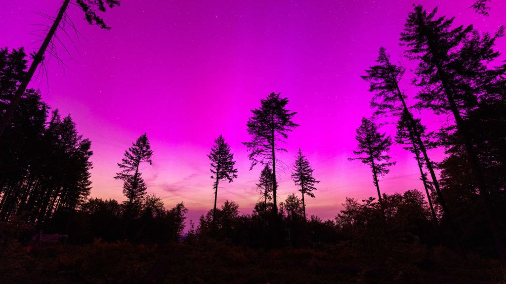 Photos from across the globe show spectacular displays of the aurora borealis